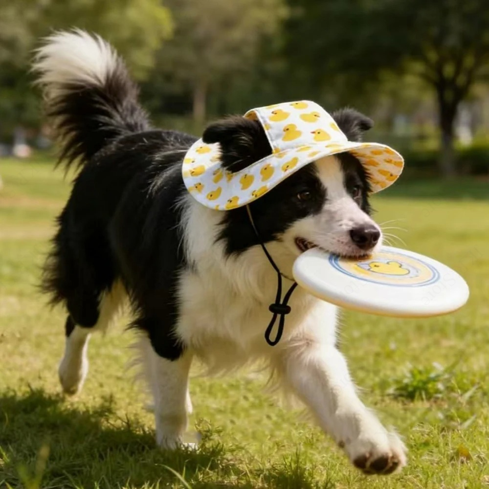 Printed Pet Dog Hat Adjustable - Running Cap Lightweight recension och pris